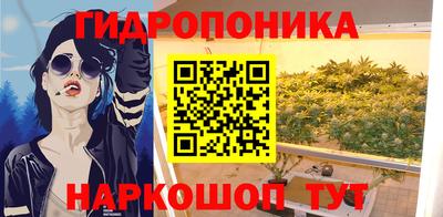 a pvp Пенза