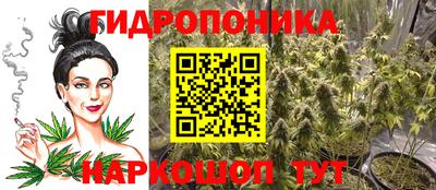 a pvp Пенза