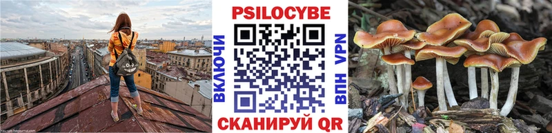 Псилоцибиновые грибы Cubensis  Серов 