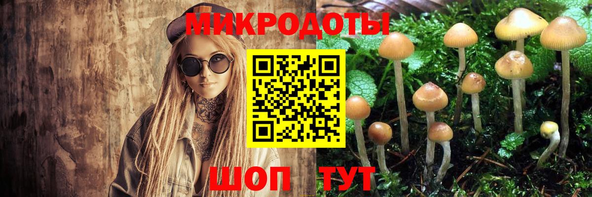 Псилоцибиновые грибы ЛСД Серов